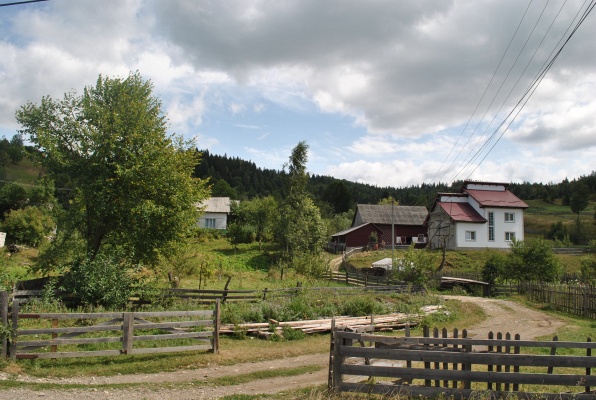 56. Poiana Micului